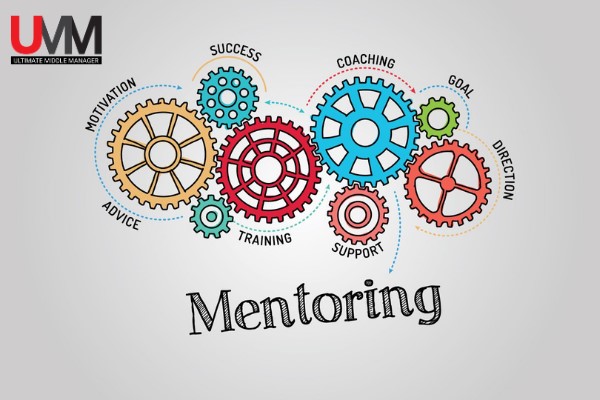 Mentoring là giải pháp tốt đề phát triển năng lực nhân sự bên cạnh Training và Coaching