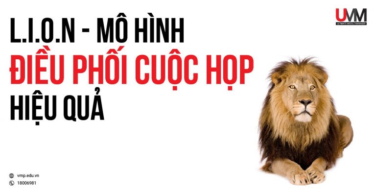 Mô hình điều phối cuộc hội LION